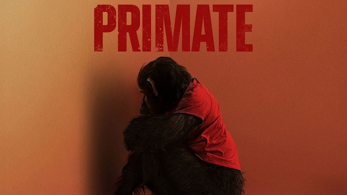 Primate