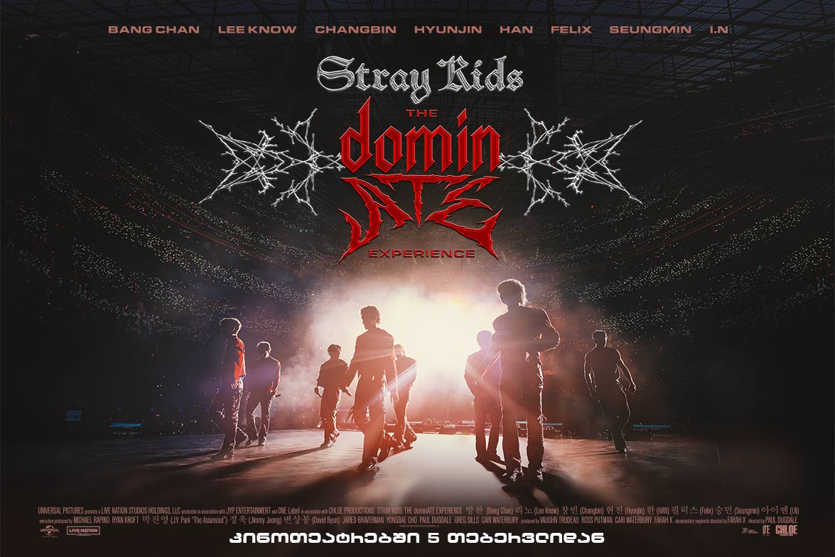 Stray Kids: The dominATE Experience