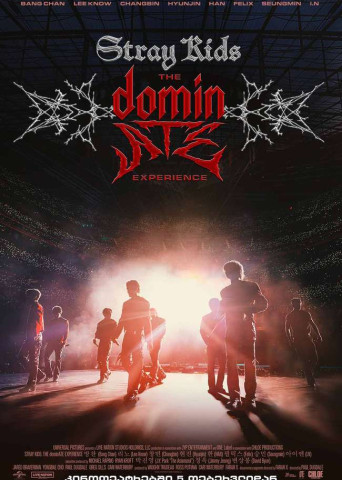 Stray Kids: The dominATE Experience