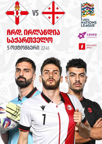 ჩრდ. ირლანდია VS საქართველო