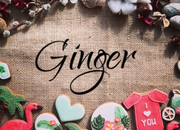GinGer