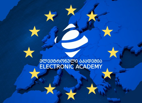 Electronic Academy