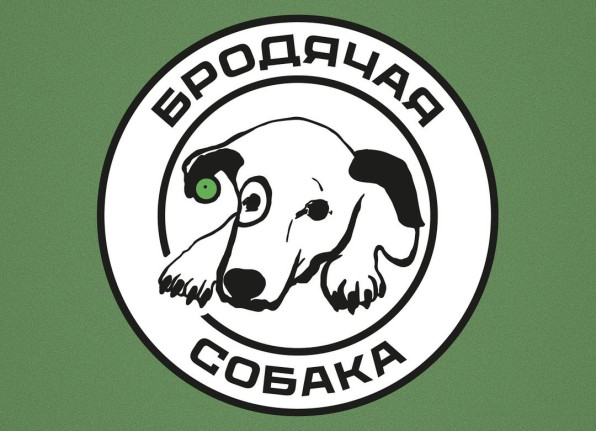 Бродячая собака