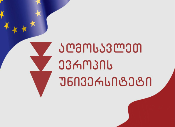 East European University