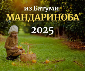 Мандариновый тур в Чарнали с IotaTour