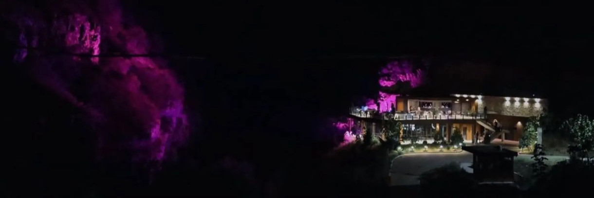 NINO KVANTRISHVILI AT BOTANICO