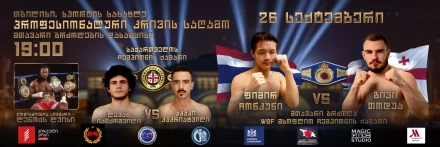 Professional Boxing Grand Show