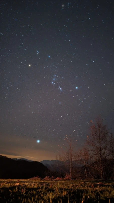 One-Day Evening Trip: Astro-Excursion – Alpha Monocerotids Meteor Shower