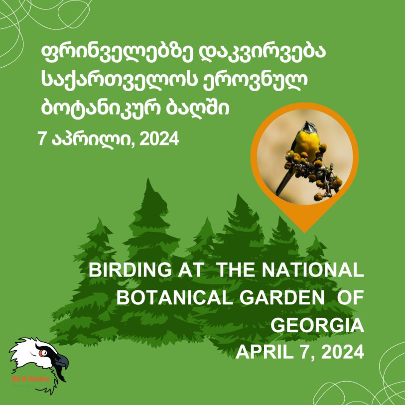 Birding in National Botanical Garden of Georgia