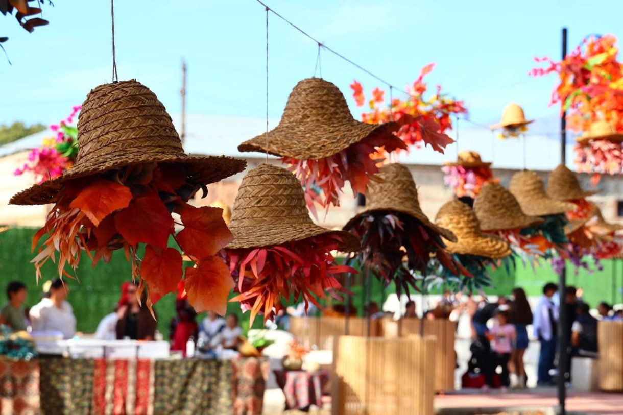 აფენობა 2025