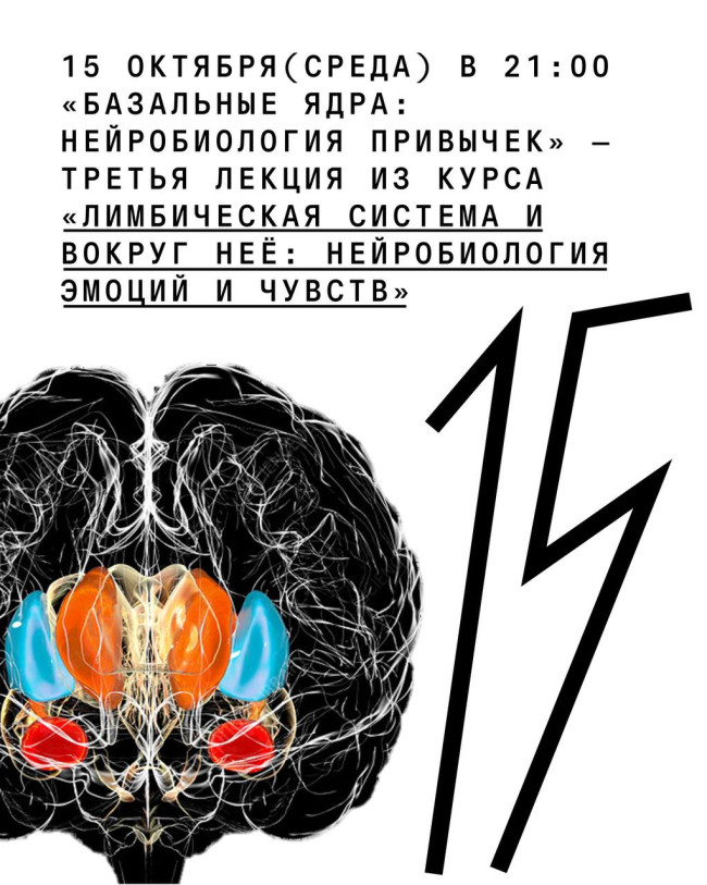 “Basal Ganglia: The Neurobiology of Habits”