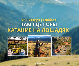 WHERE THE MOUNTAINS ARE – HORSEBACK RIDING | HOPHEY TRIP