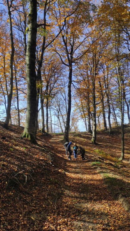 Golden Autumn in Sabaduri. Kids’ Hike