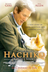Hachi