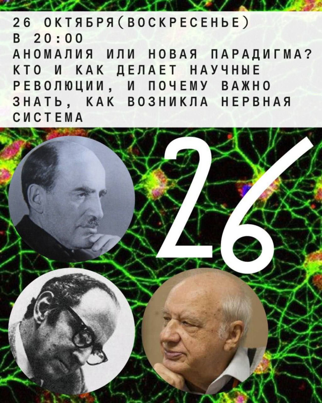 Аномалия или новая парадигма?