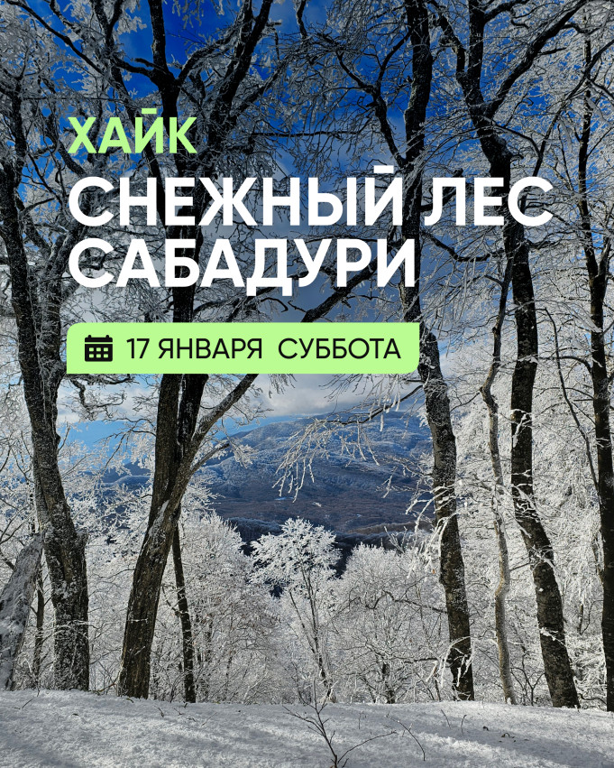 Snowy Forest Hike in Sabaduri Forest (Sad)