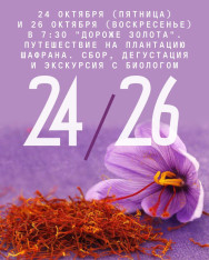 “More Precious Than Gold.” A Journey to a Saffron Plantation: Harvesting, Tasting, and a Tour with a Biologist