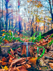Hike: Sabaduri Forest with Georgia Finder