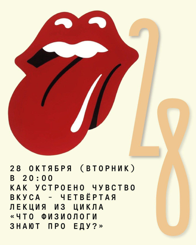 «Как устроено чувство вкуса?» — четвёртая лекция из цикла физиолога Антона Захарова «Что физиологи знают про еду?»