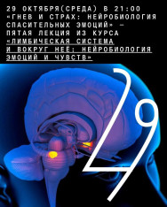 «Гнев и страх: нейробиология спасительных эмоций» - четвертая ОНЛАЙН-лекция из курса «Лимбическая система и вокруг неё: нейробиология эмоций и чувств»