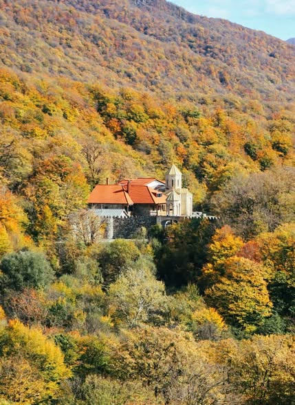 საბადურის ტყე 1 დღიანი ტური Mix travel georgia