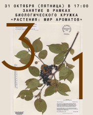 Biology Club Session for Teens: 