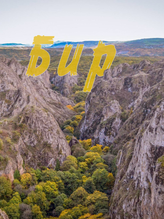 ბირთვისი Georgia Finder