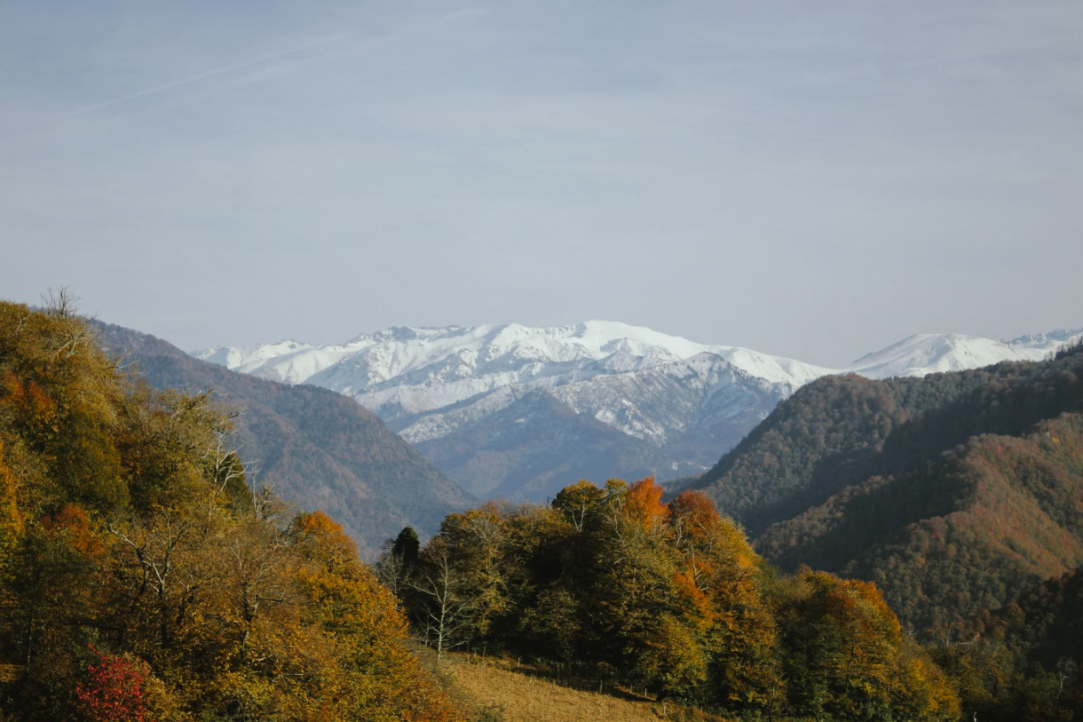 არქანგელოს მთა | ოქროსფერი შემოდგომა 