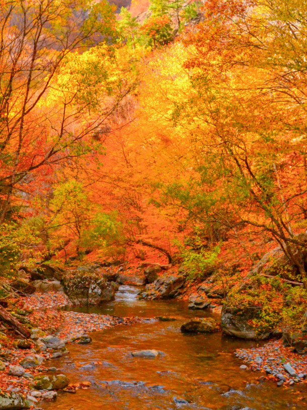 ჰაიკი: რკონი