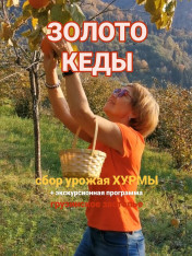 Собираем ХУРМУ  ArtToursGe