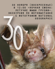 „ღამის სმენა: საქართველოს ღამურები“ ექსკურსია ფოტოგამოფენაზე National Geographic-ის ფოტოგრაფთან ერთად