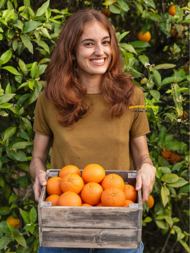 ტური: მანდარინების ძიებაში