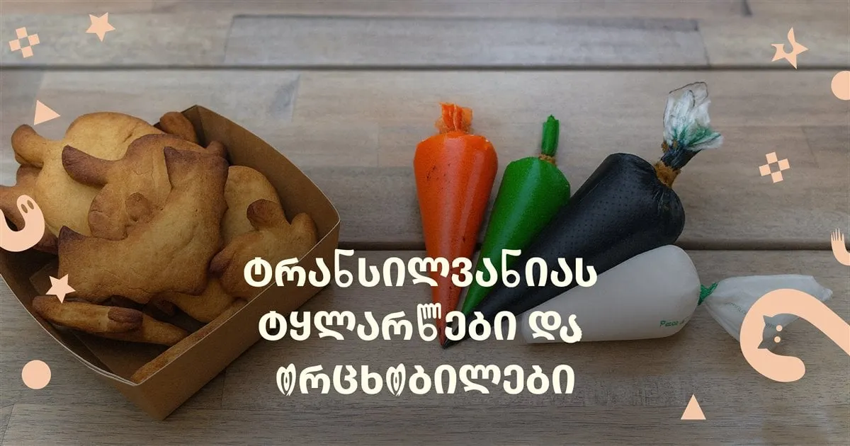 ტრანსილვანიას ტყლარწები და ორცხობილები - STEM ოთახში