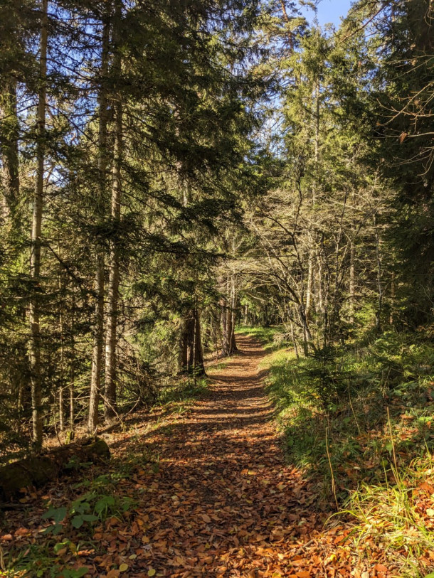 სარეკოგნოცირებო, არაკომერციული ლაშქრობა ბორჯომ-ხარაგაულის ეროვნულ პარკში georgian_adventures