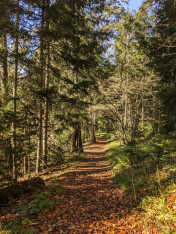 სარეკოგნოცირებო, არაკომერციული ლაშქრობა ბორჯომ-ხარაგაულის ეროვნულ პარკში georgian_adventures