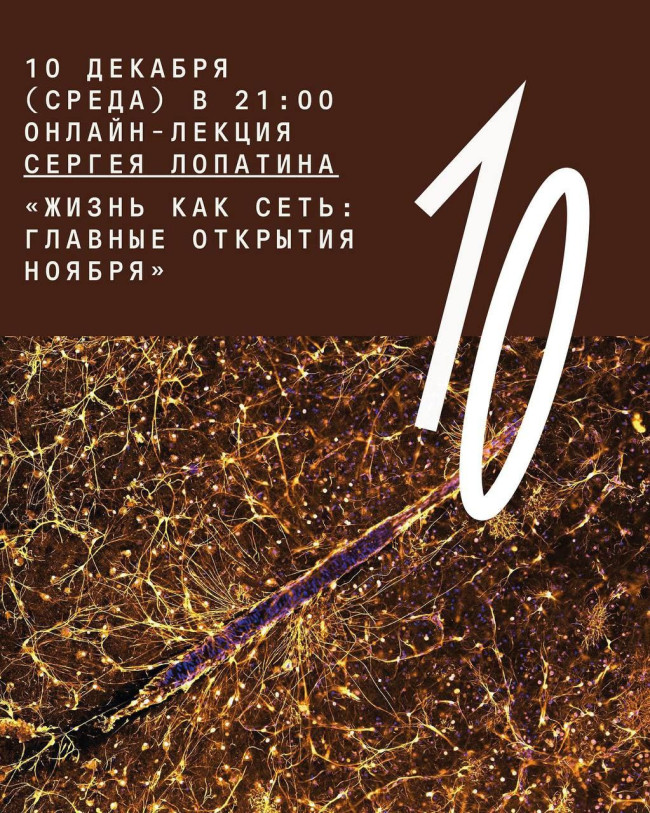 Онлайн-лекция Сергея Лопатина «Жизнь как сеть: главные открытия ноября»