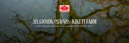 Ферма Кикети