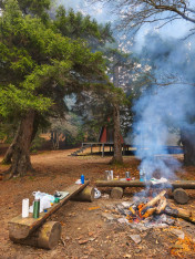 Forest Hike with a Campfire