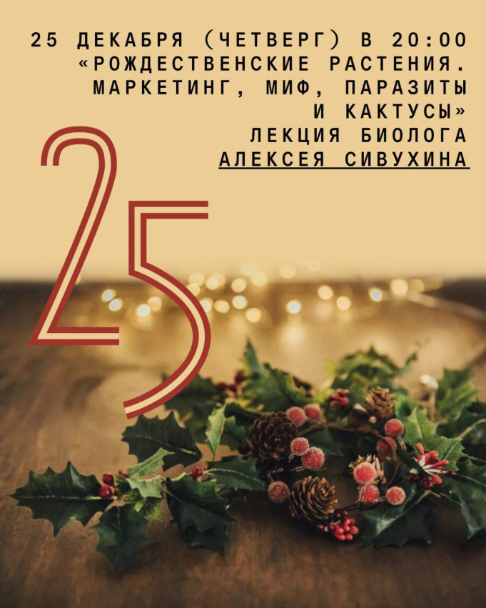 „საშობაო მცენარეები: მარკეტინგი, მითები, პარაზიტები და კაქტუსები“