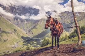 Where the Mountains Are. Horseback Riding