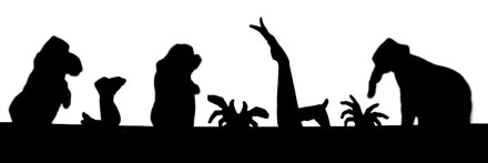 რა საოცარი დღეა