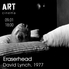 ლასტიკის თავი