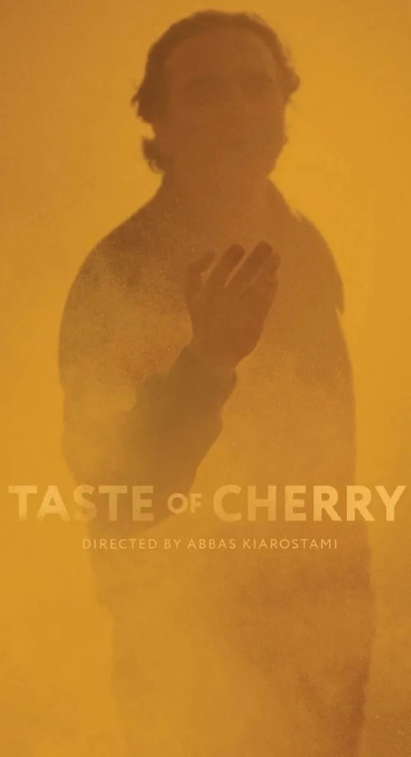 TASTE OF CHERRY