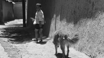 IRANIAN FILM SHORTS 1961-1990 Screening