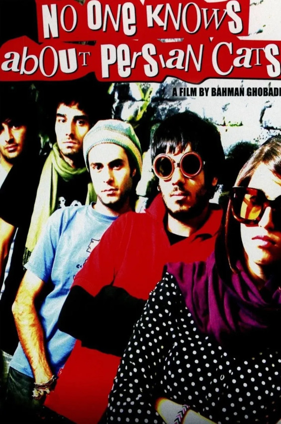 NO ONE KNOWS ABOUT PERSIAN CATS