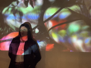 საშემსრულებლო-შემოქმედებითი ხელოვნება (ღია კარის დღე)