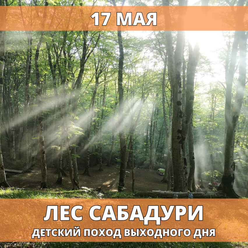 Sabaduri Forest — Kids’ Hike Sabaduri Forest
