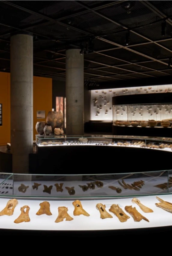 ჩინური ხელოვნება საქართველოს ეროვნულ მუზეუმში