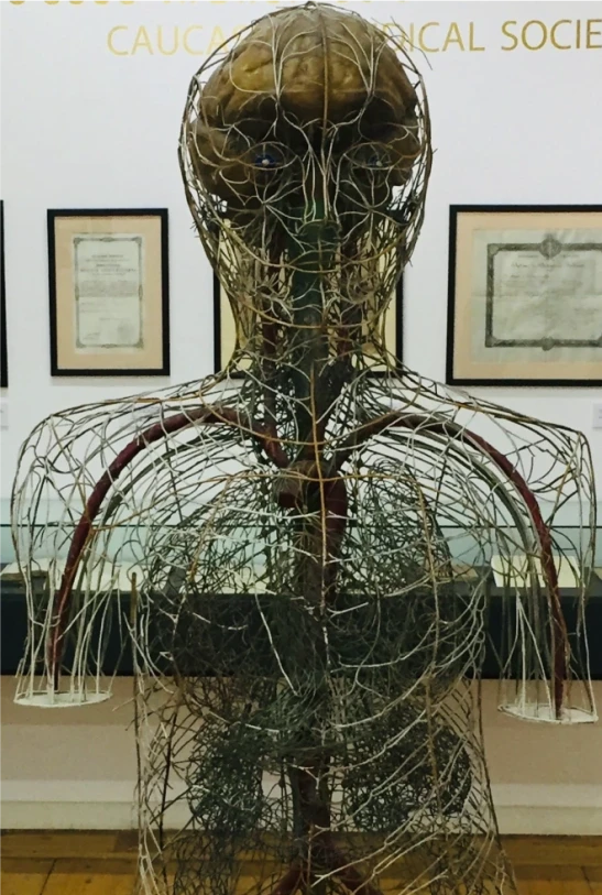 ქართული მედიცინის ისტორიის მუზეუმი