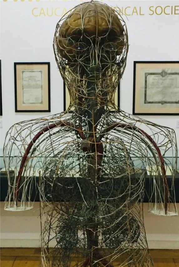 ქართული მედიცინის ისტორიის მუზეუმი